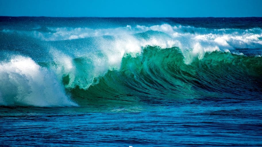 Birthday Wishes for Ocean Lovers