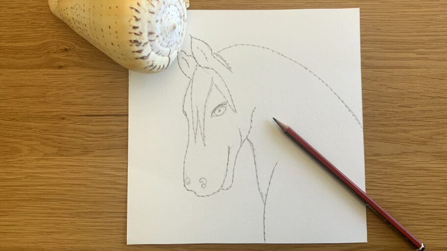 horse
