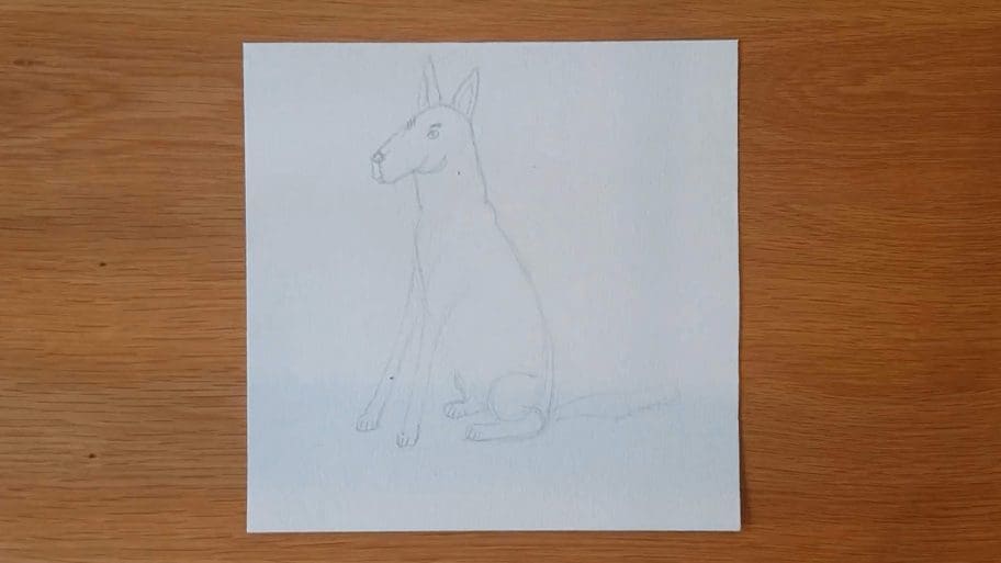 Dog Drawing