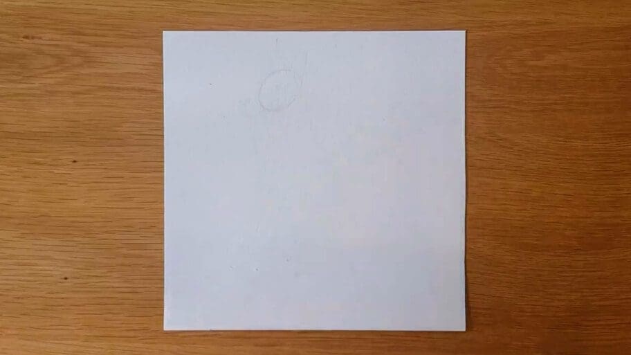 Dog Drawing