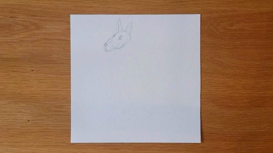 Dog Drawing