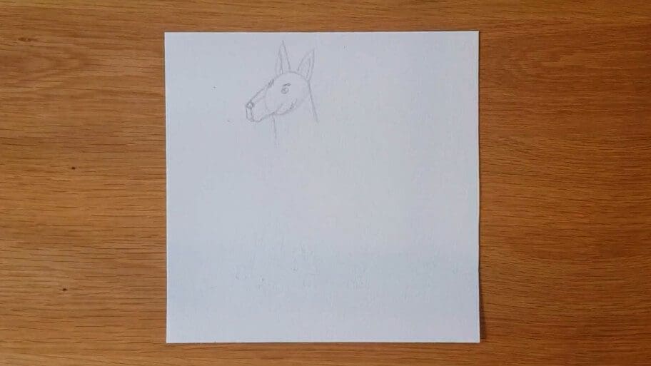 Dog Drawing