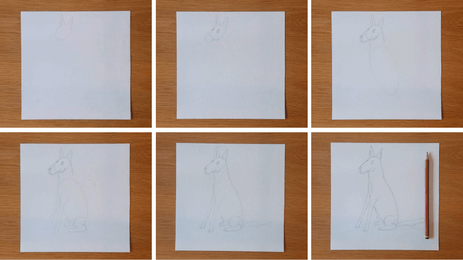 Dog Drawing