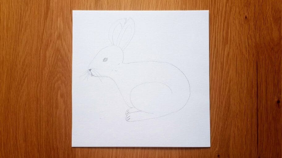 Rabbit Drawing