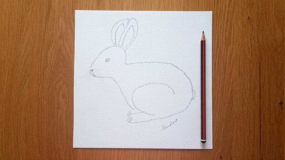 Rabbit Drawing
