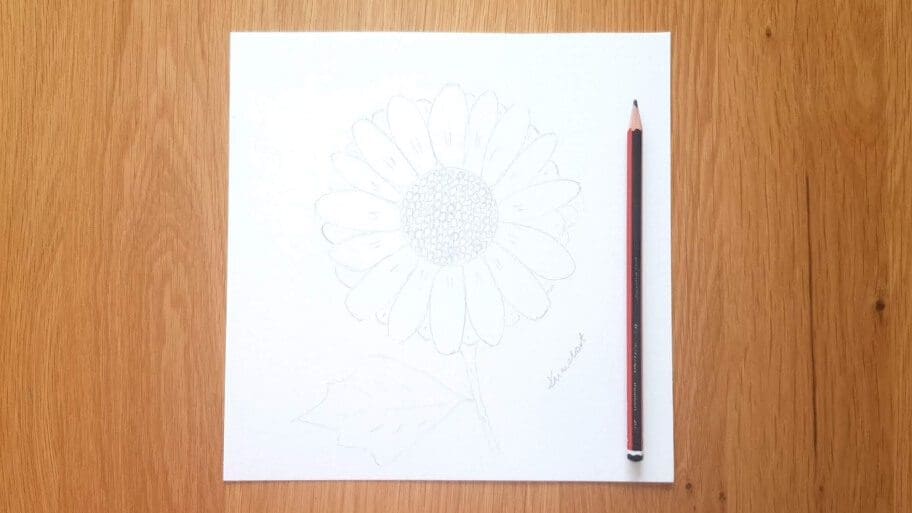 Sunflower Drawing