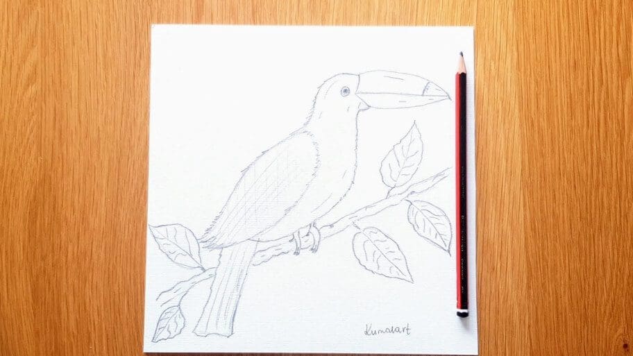 Bird Drawing