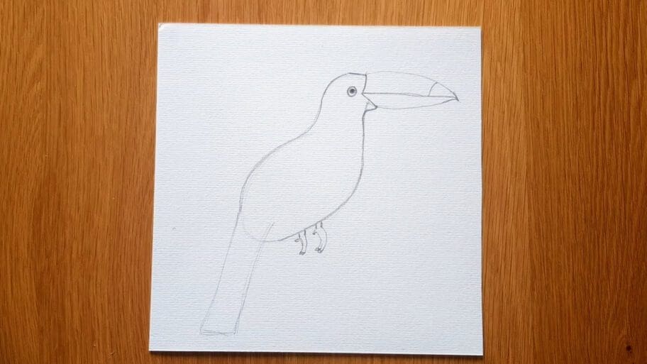 Bird Drawing