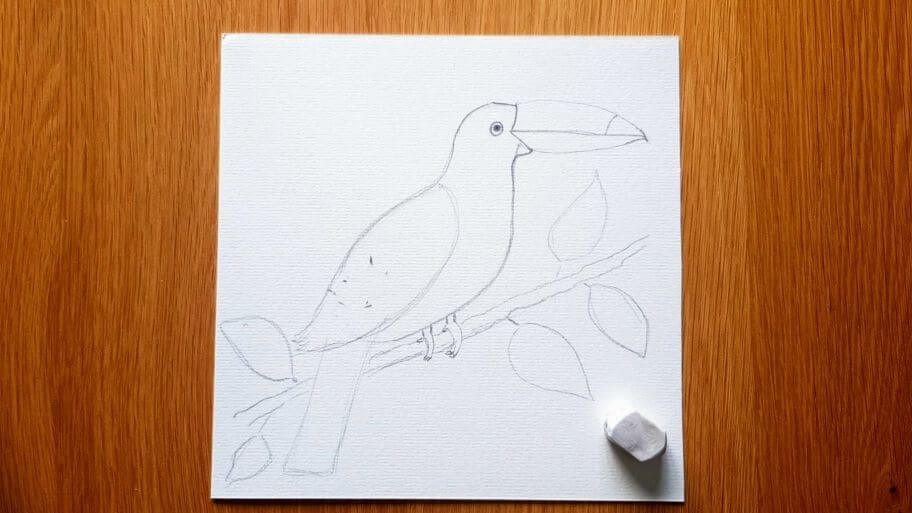Bird Drawing