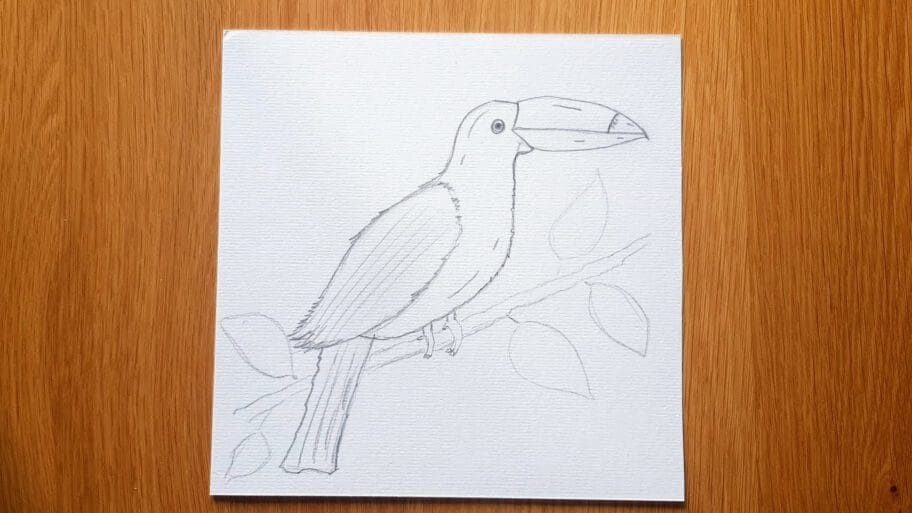 Bird Drawing