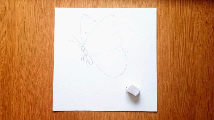 Butterfly Drawing
