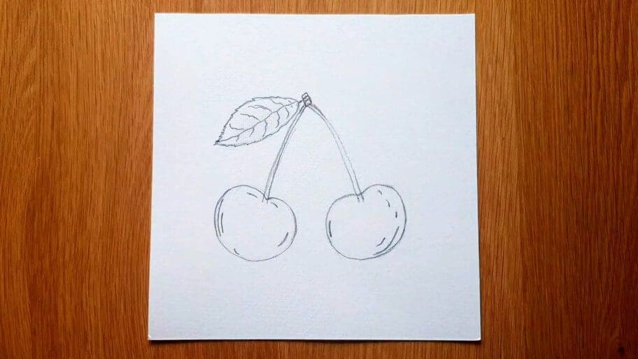 Cherry Drawing