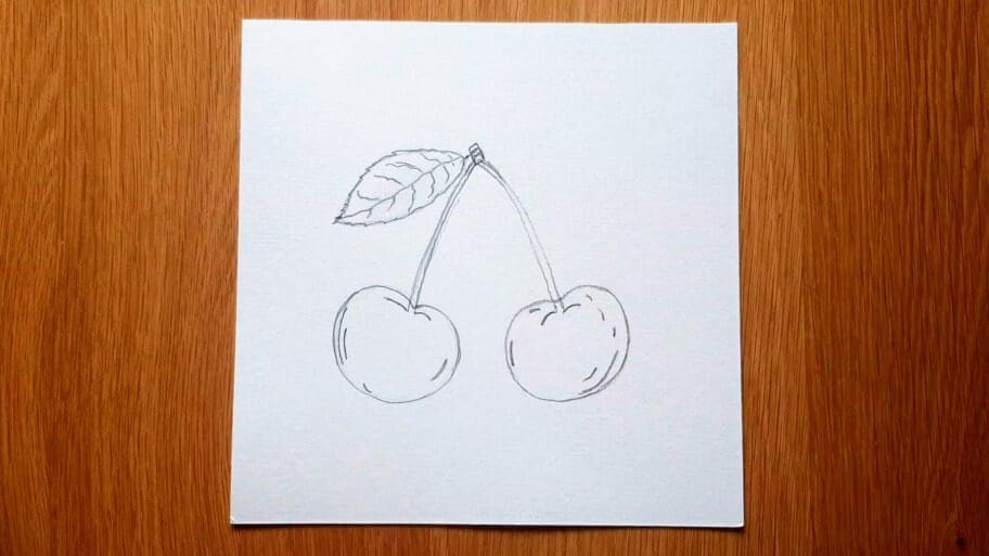Cherry Drawing