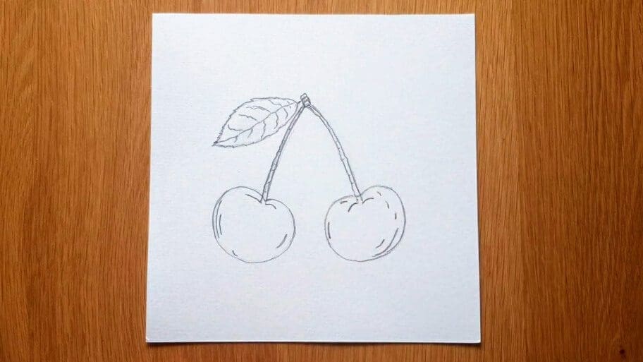 Cherry Drawing