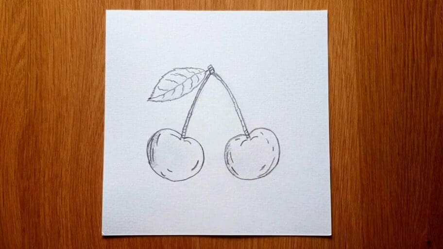 Cherry Drawing