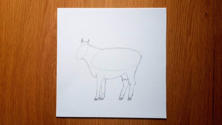 Cow Drawing