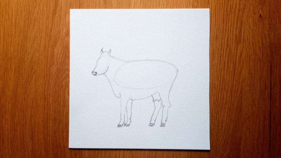 Cow Drawing