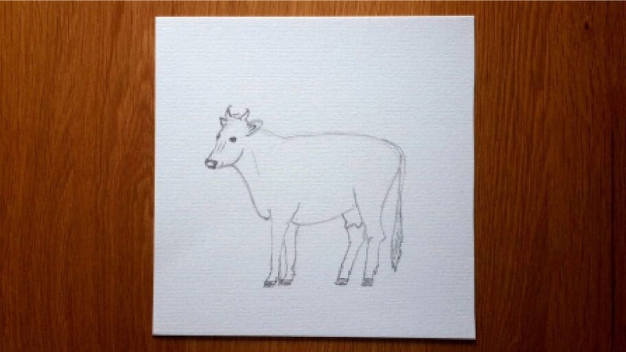 Cow Drawing