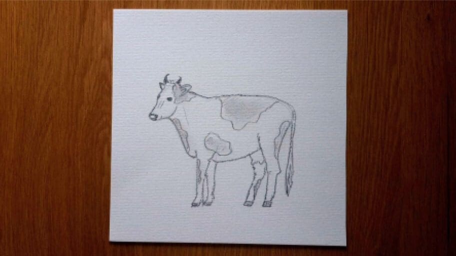 Cow Drawing
