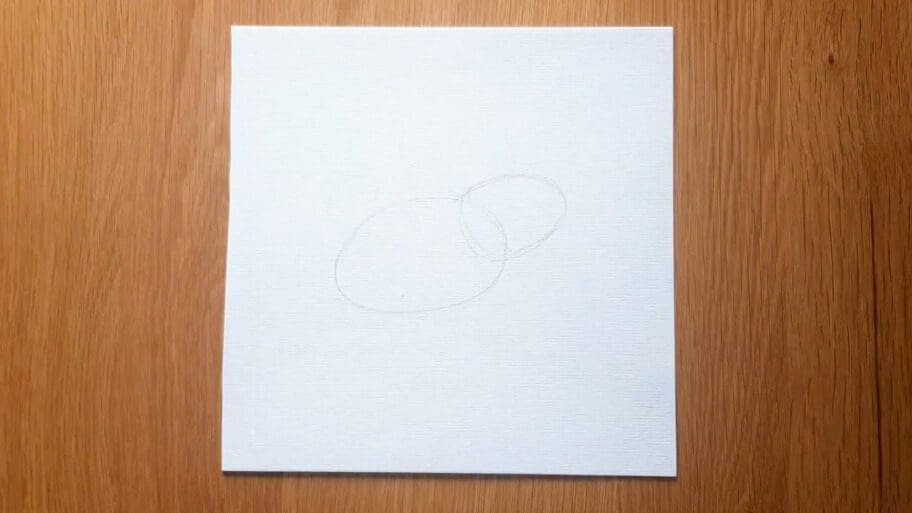 Frog Drawing