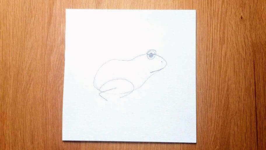 Frog Drawing