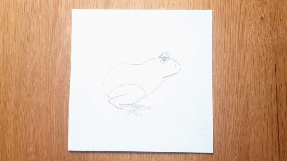Frog Drawing