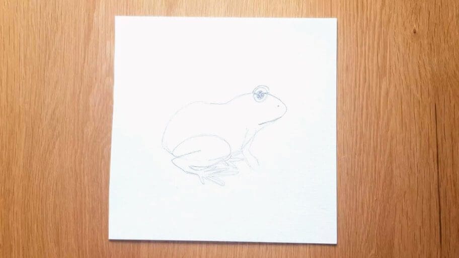 Frog Drawing