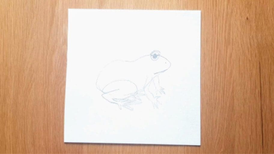 Frog Drawing