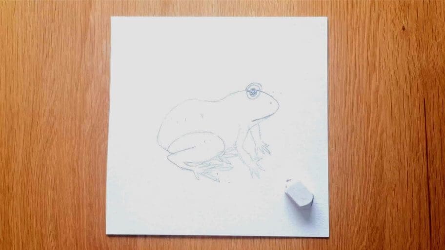 Frog Drawing