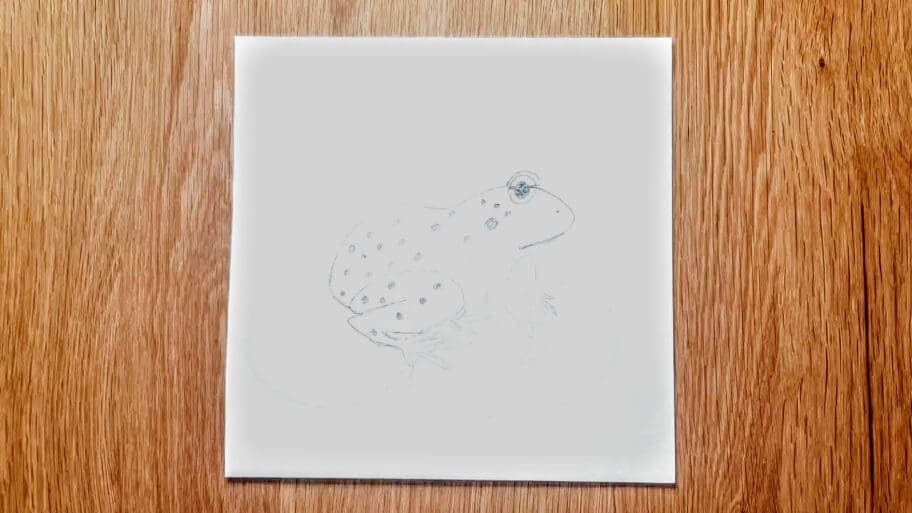 Frog Drawing