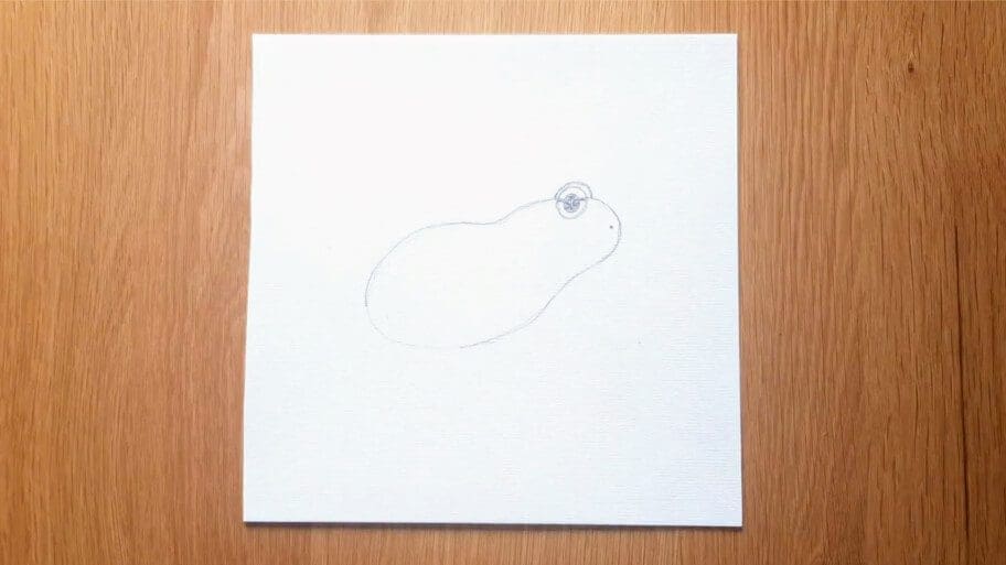 Frog Drawing