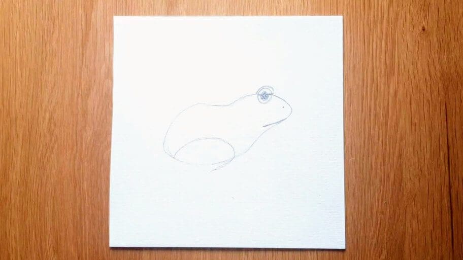 Frog Drawing