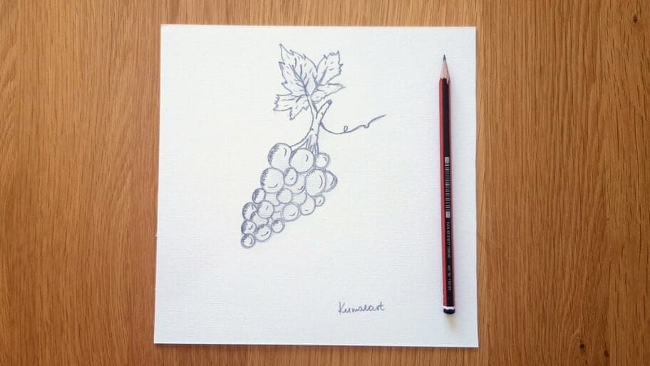 Grapes Drawing