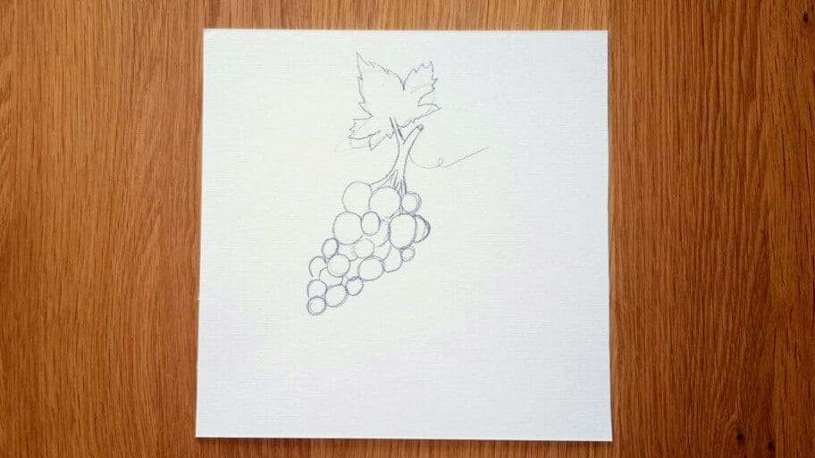Grapes Drawing