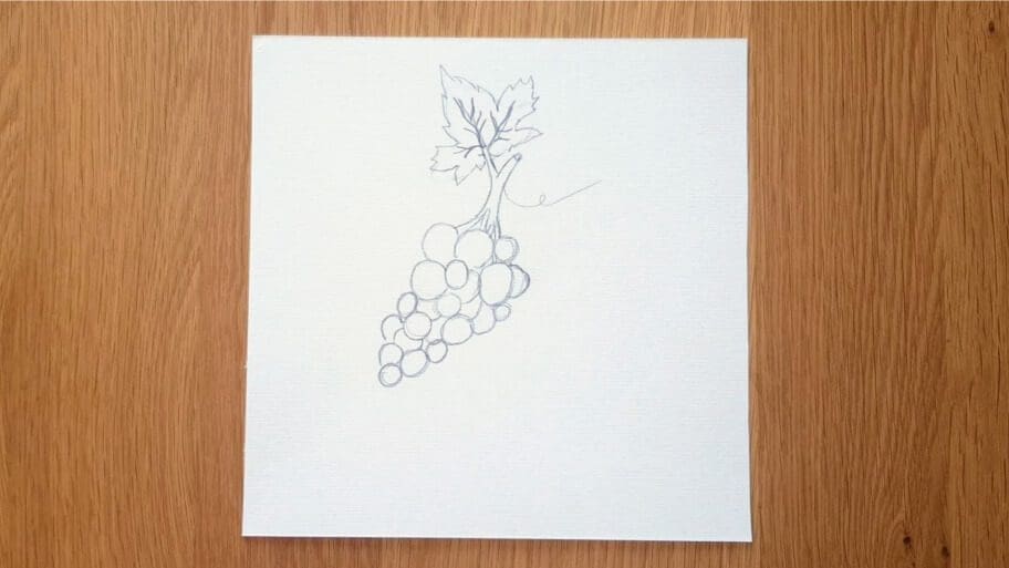 Grapes Drawing
