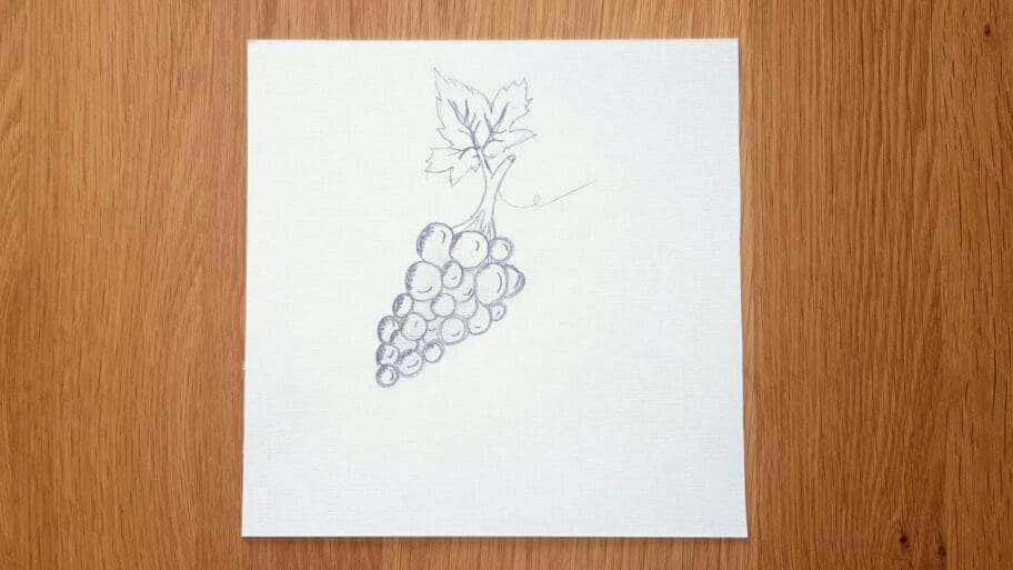 Grapes Drawing