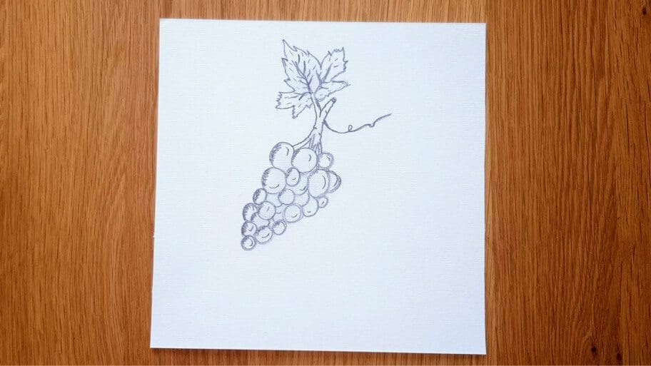 Grapes Drawing