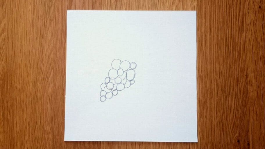Grapes Drawing