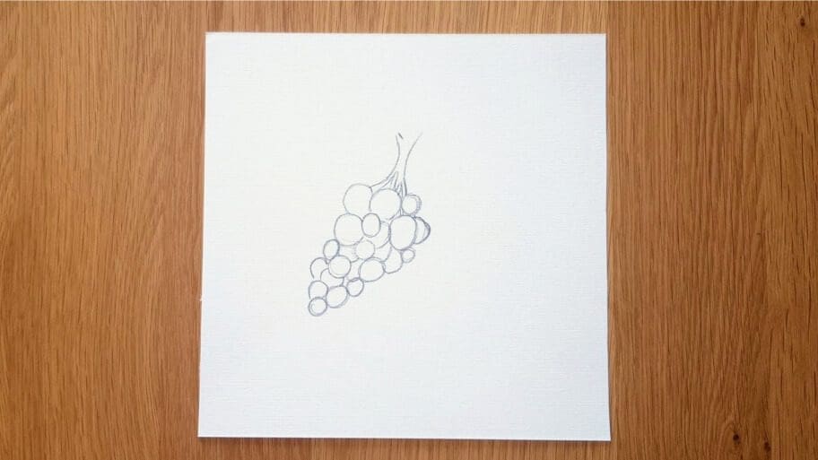 Grapes Drawing