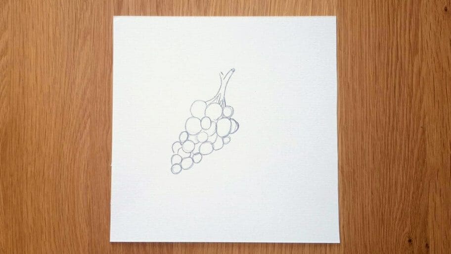 Grapes Drawing