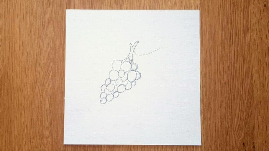 Grapes Drawing