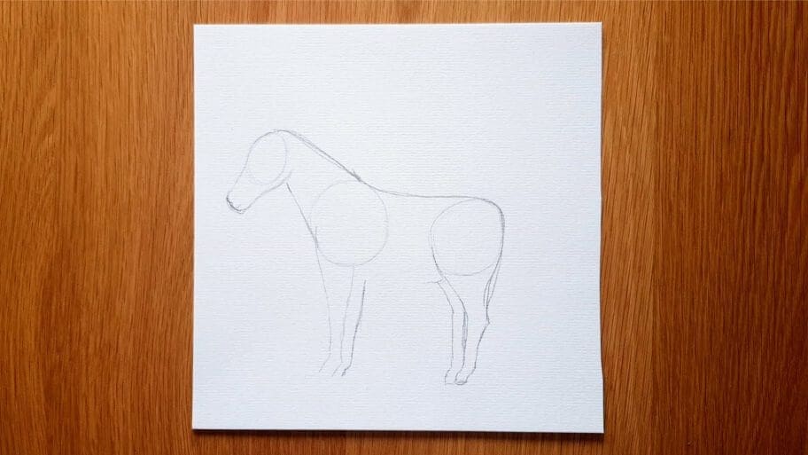 Horse Drawing