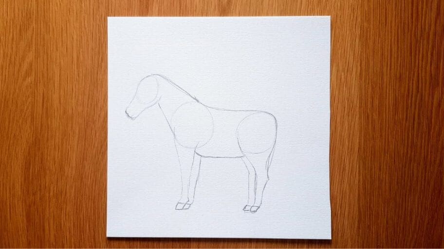 Horse Drawing