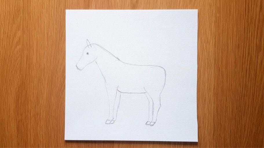 Horse Drawing