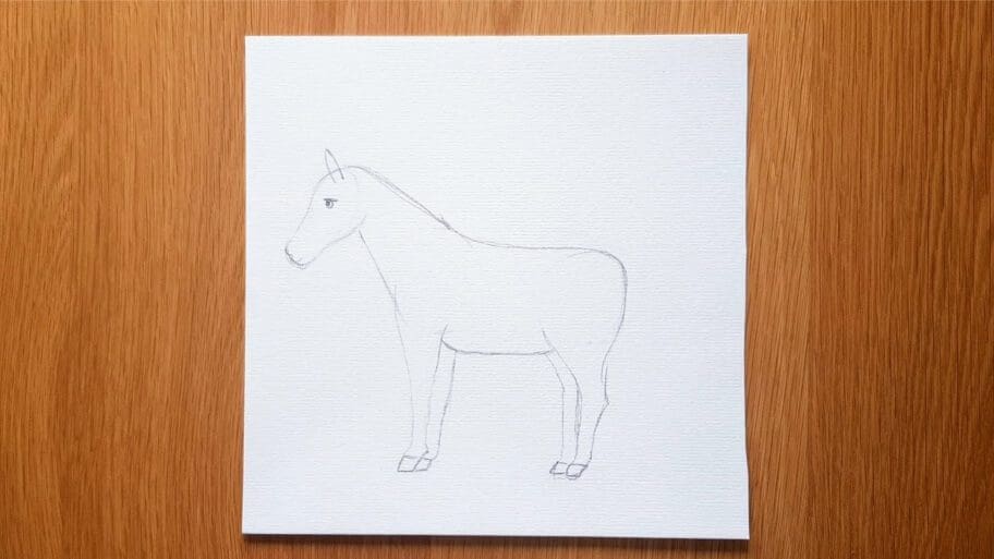 Horse Drawing