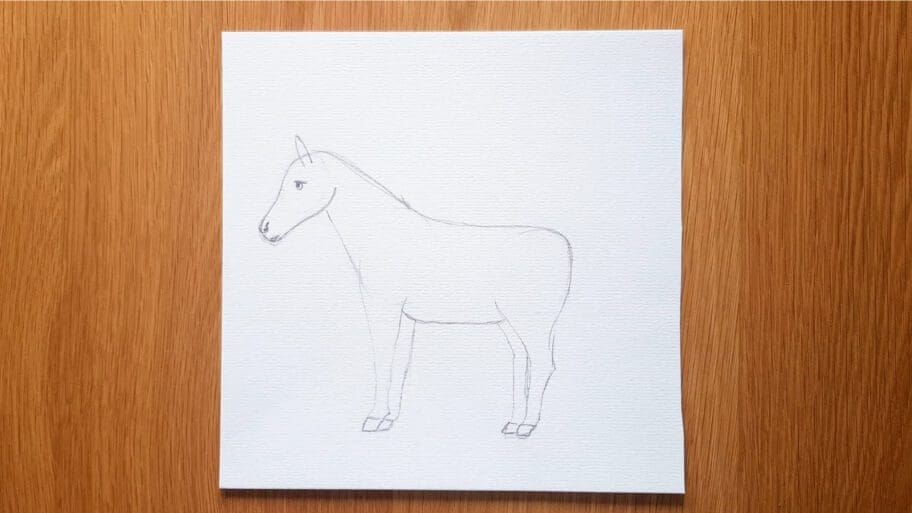 Horse Drawing