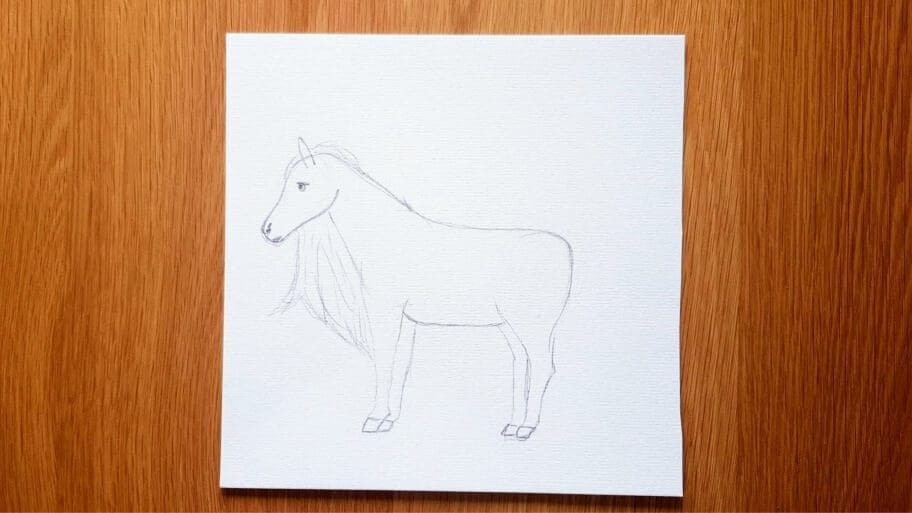 Horse Drawing