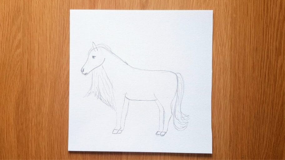 Horse Drawing
