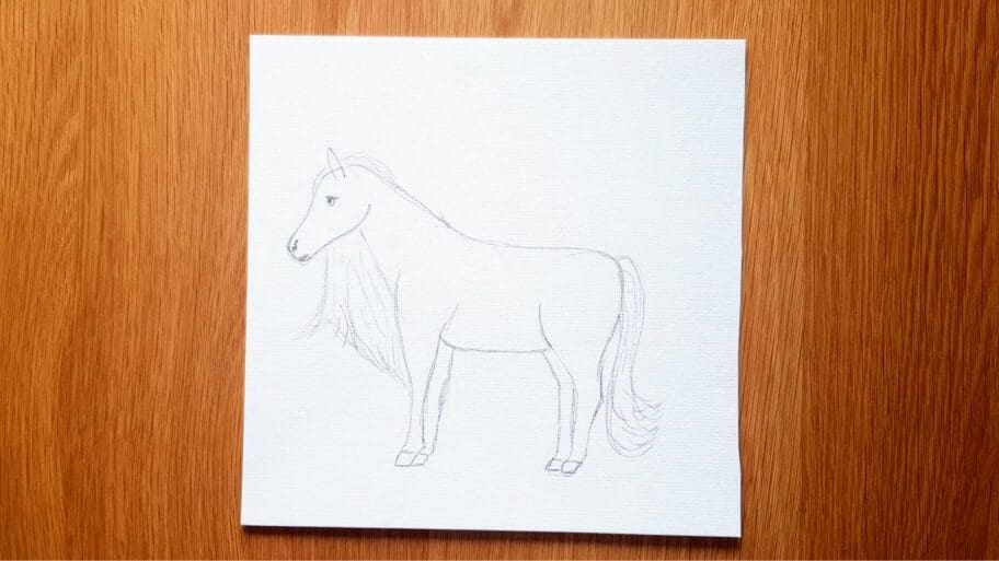 Horse Drawing