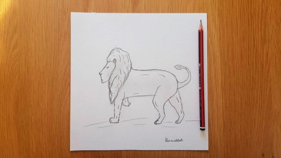 Lion Drawing